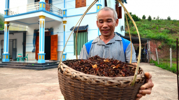 Lạng Sơn thu hơn 4.000 tỷ đồng từ rừng nhưng vẫn chưa hết tiềm năng