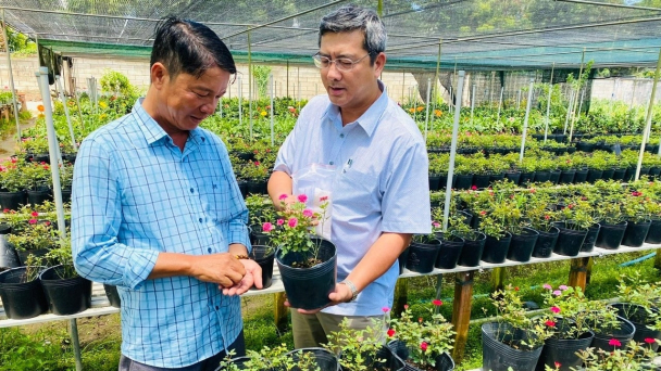 Ứng dụng công nghệ số phát triển ngành hoa kiểng
