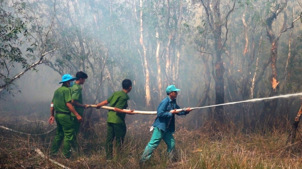Đồng Tháp yêu cầu xử lý nghiêm đối tượng gây cháy Vườn quốc gia Tràm Chim