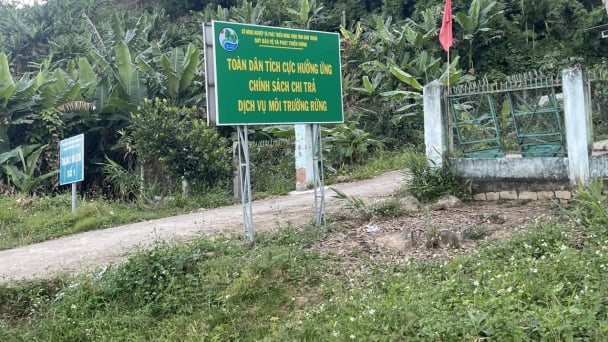Hiệu quả chính sách chi trả dịch vụ môi trường rừng ở Bình Thuận