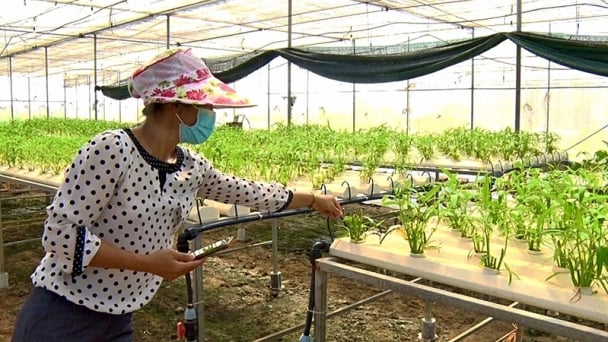 Agricultural production brings Thai Nguyen VND 8,400 billion in the first half of the year