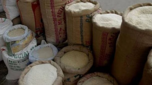 India’s rice exports drop 34% in Q1 of FY25 as export curbs continue