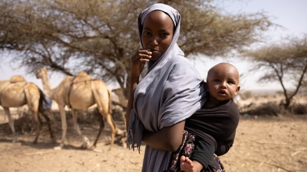 FAO & EU to enhance resilience and food security for pastoralists in Eastern Africa