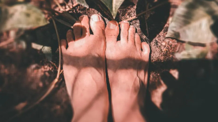 The soil under your feet affects you more than you think. Here’s why