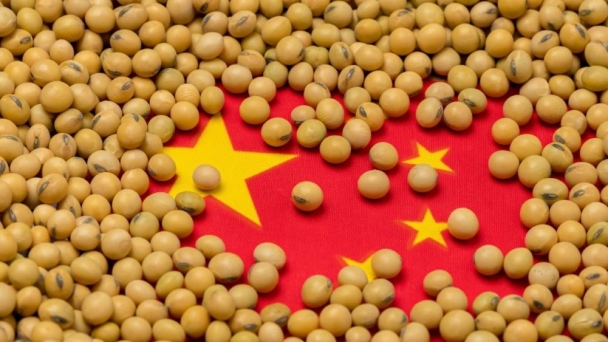 China to crush more oilseeds on improved feed demand