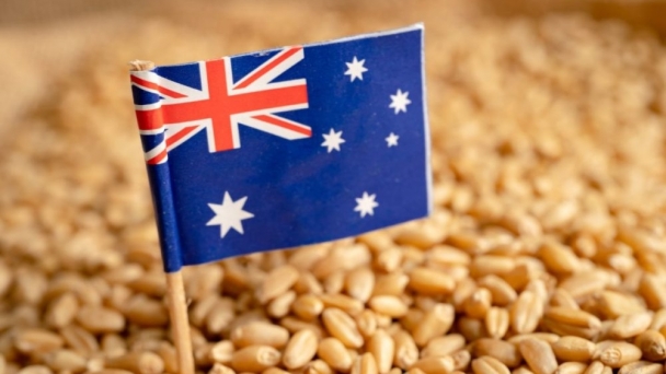 Australia winter crop production seen rising