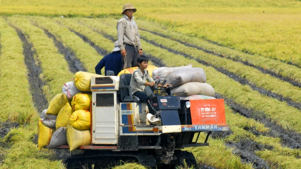 Khai thác thế mạnh nông nghiệp Tri Tôn