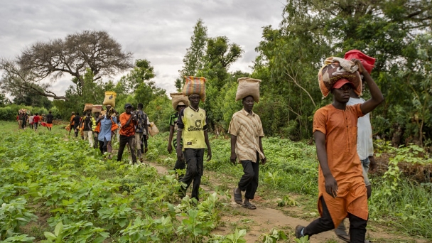 FAO urges swift action as La Niña threatens global food security