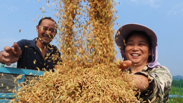 President Xi extends greetings for Chinese Farmers' Harvest Festival