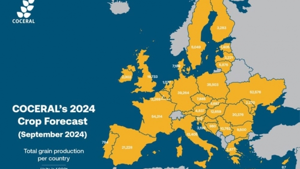 Weather takes toll on EU grain crops