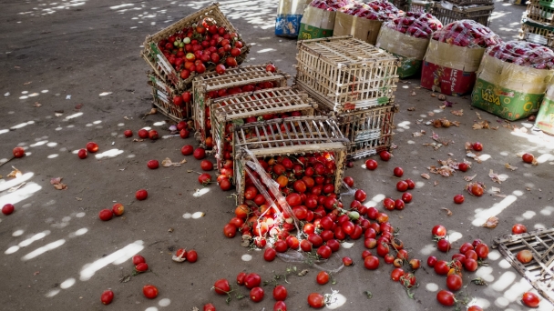 Tackling food loss and waste from the farm to the table and beyond