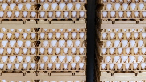 Bulgaria seeks restrictions on Ukrainian egg imports