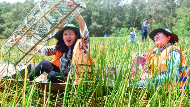 Conservation and development of Tram Chim wetland ecosystems