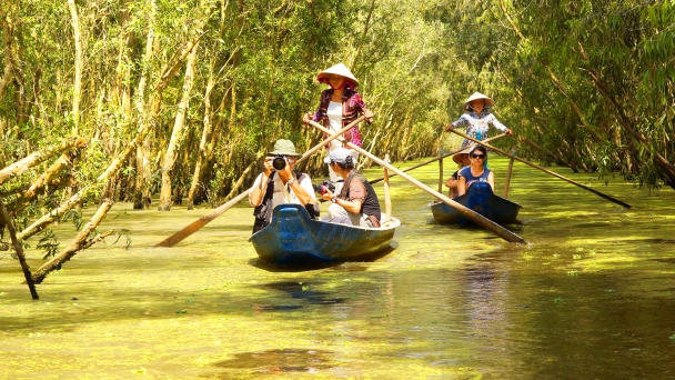 Launch of the Tra Su Melaleuca forest landscape restoration project