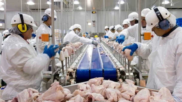 Brazilian chicken reaches US$2,000/tonne