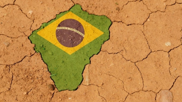 Drought stymies Brazilian grain shipments