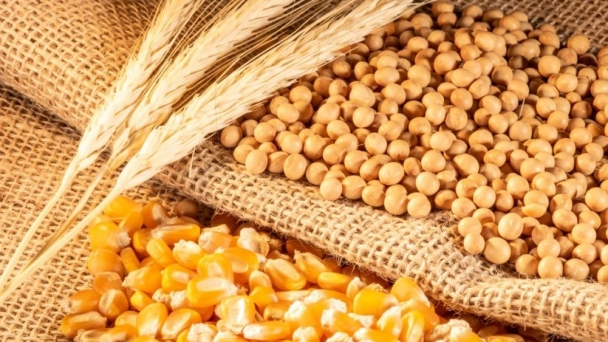 Soybean output seen rising by 7%