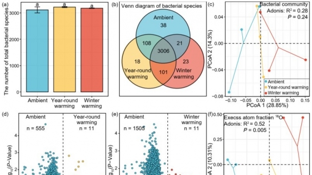 Study finds asymmetric warming impacts soil carbon storage more than symmetric warming