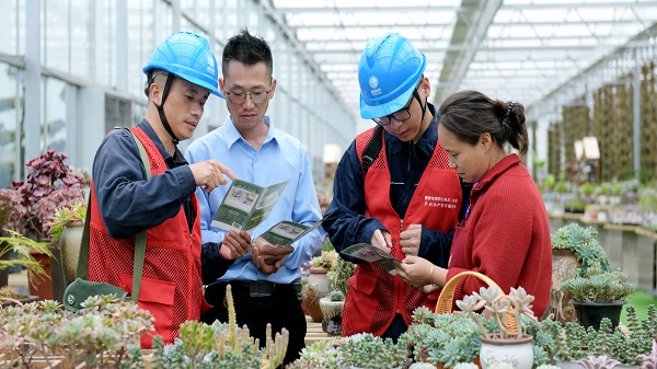 Wenzhou powers rural revitalization through tailored energy services