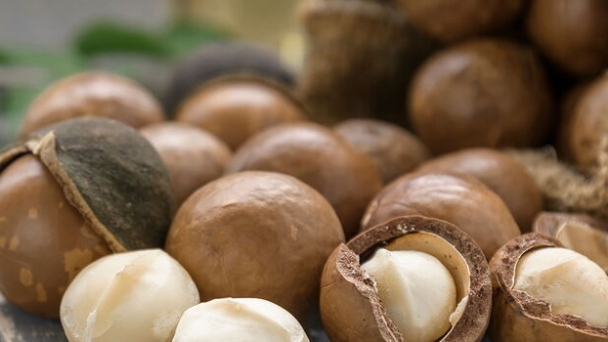 Government announces looming ban on macadamia harvesting from November