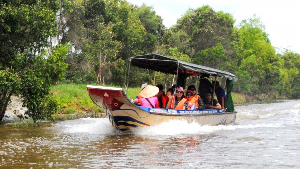 Tram Chim National Park recovers well after wildfire