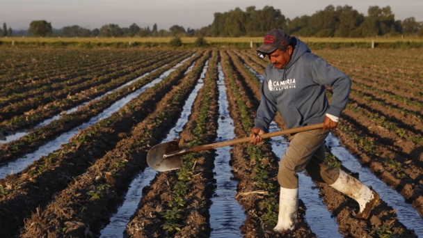 Mexico announces food and agriculture plan that could take the country back to the 1980s