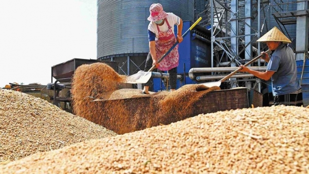 Shandong uses high-tech to boost green grain storage