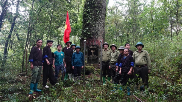 Labeling heritage trees to encourage forest conservation