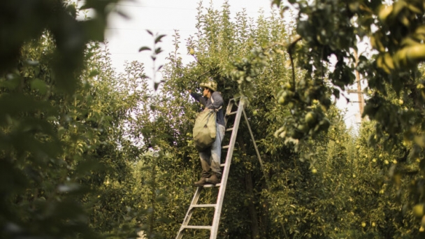 Agricultural subsidies are killing Americans and fueling the climate crisis