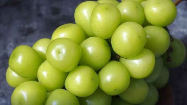 Thai FDA urged to act on contaminated grapes