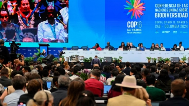 Pharma and agritech groups push against biodiversity levy at UN summit