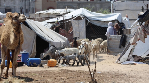 Famine and catastrophic hunger in 5 major hotspots alongside the looming La Niña_climate threat in others