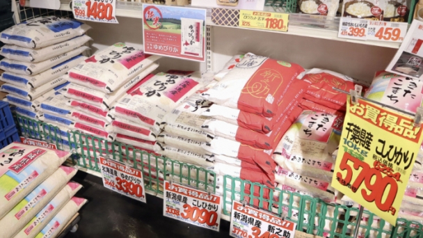 Japan 2024 rice production expected to exceed demand, ease shortages