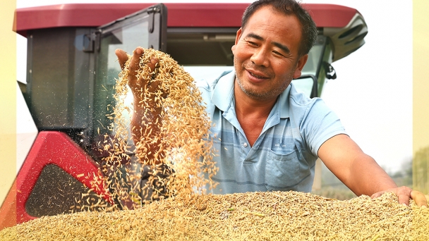 China intensifies emergency food supply amid increasing extreme weather events