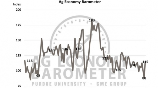 Farmers in US express optimism for future