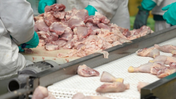 Russia: poultry exports growing but prospects look bleak