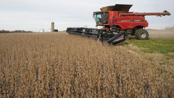 Trump trade policy seen as wild card for US soybean farmers, opportunity for crushers