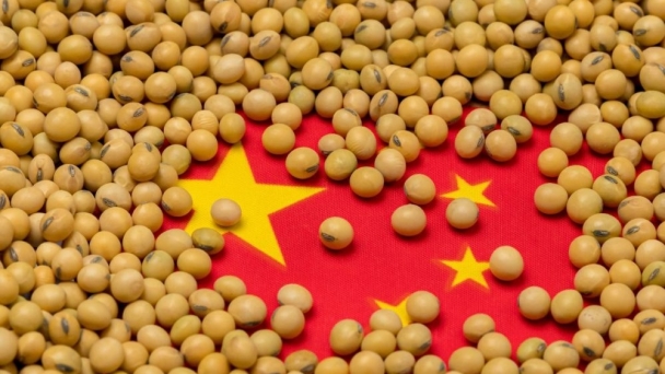 China’s soybean production, imports steady