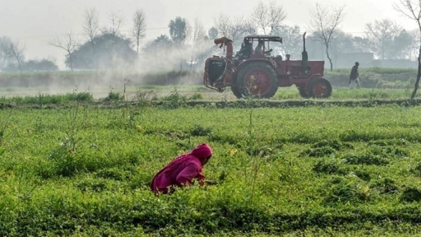 Agriculture income to be taxed from Jan 2025, IMF told