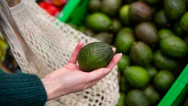 Global Avocado Summit 2024 focuses on export markets