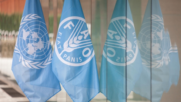 Resumed meetings of the UN Biodiversity Conference to be held at FAO headquarters