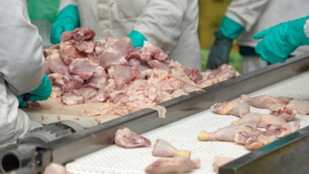 A safety ‘first’ in US poultry processing