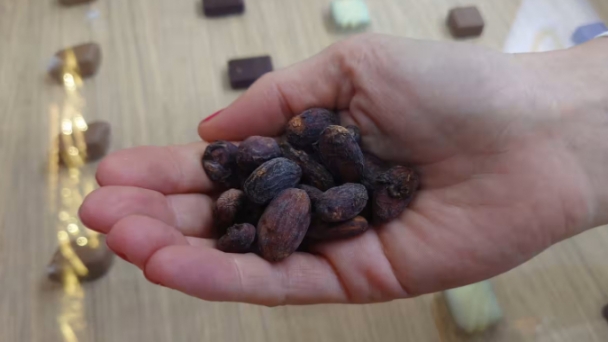 Indonesia's cocoa crunch- a rising challenge for chocolate makers in Asia