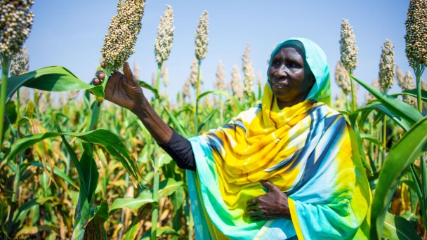 FAO seeks $1.9 billion to provide life-saving, emergency agriculture assistance to 49 million people