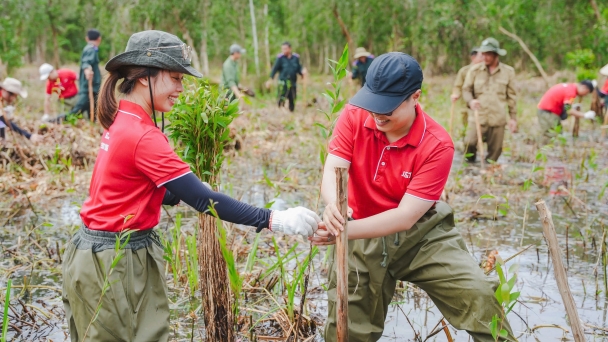 Afforestation to reduce emissions and combat climate change