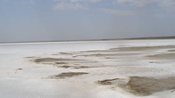 FAO launches first major global assessment of salt-affected soils in 50 years