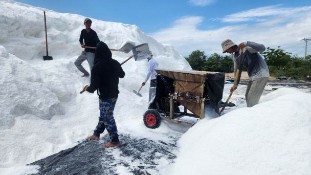 Ninh Thuan province focuses on producing high-quality salt