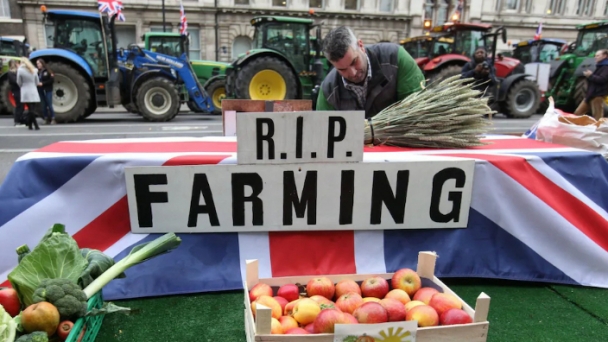 Farmers face £600m loss after second-worst harvest on record