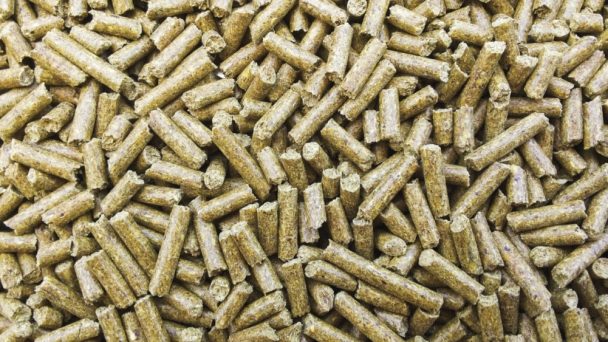 FEFAC sees slight uptick in EU feed output