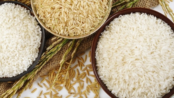 Pressured by large harvest and end to India export ban rice prices likely to come down